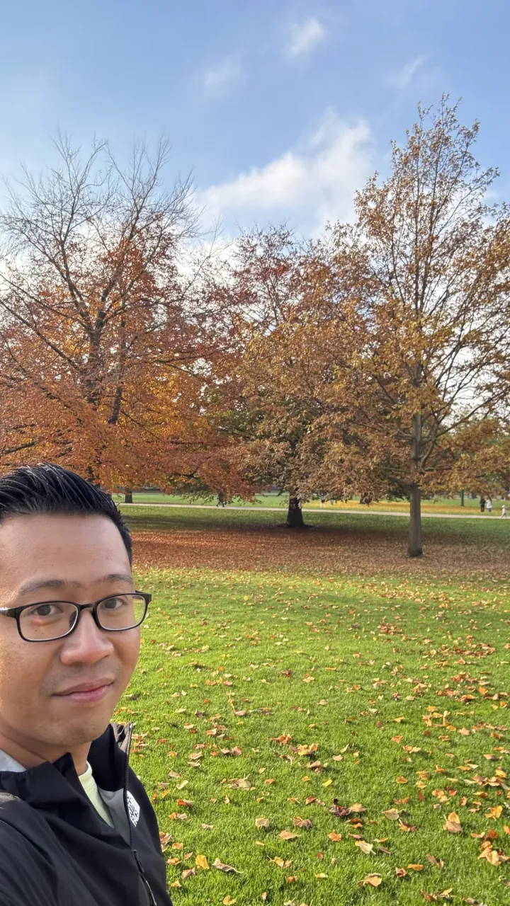Autumn in the park — golden leaves and quiet mornings