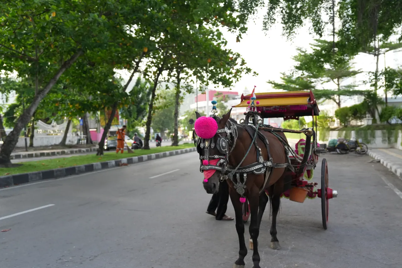 Horse-drawn carriage on a tree-lined boulevard — Padang street life